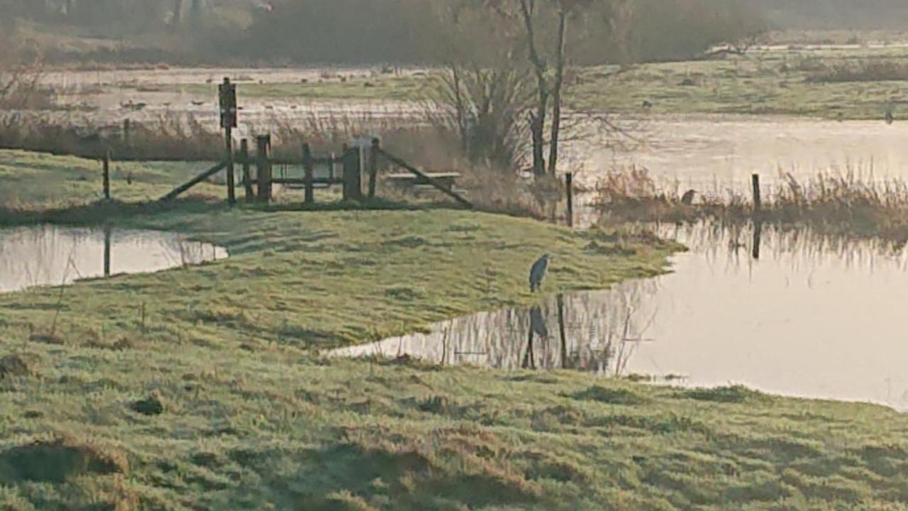 De Sprokkel Bed & Breakfast Milsbeek Eksteriør bilde