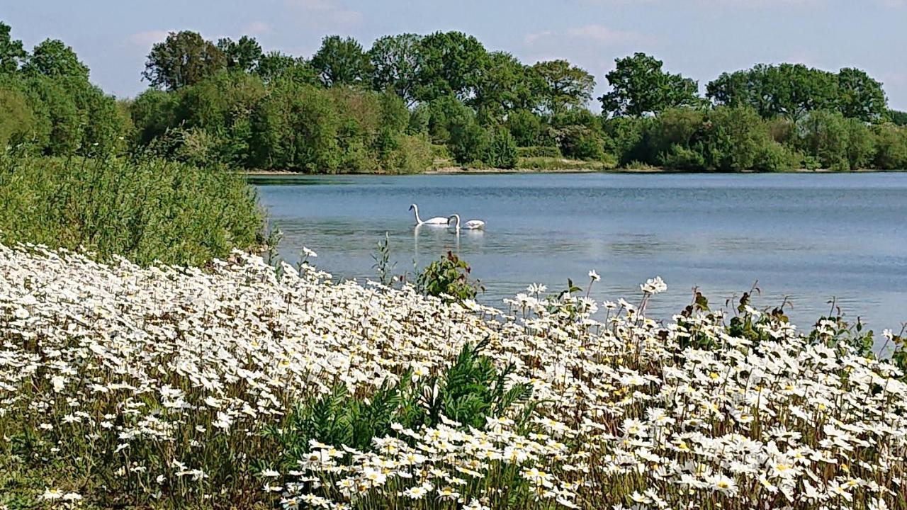 De Sprokkel Bed & Breakfast Milsbeek Eksteriør bilde